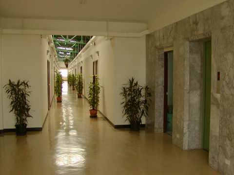 Garden Corridor
